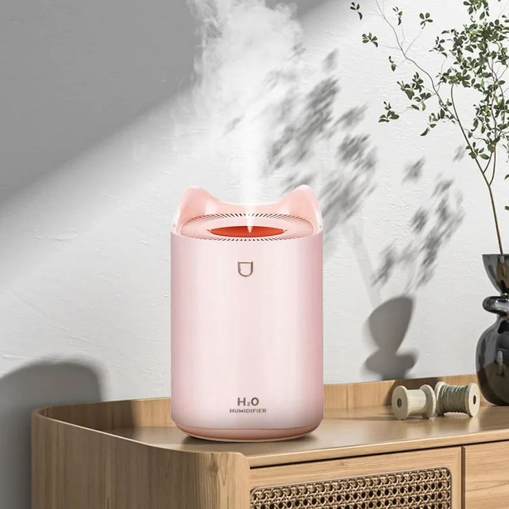 Ultrasonic Humidifier