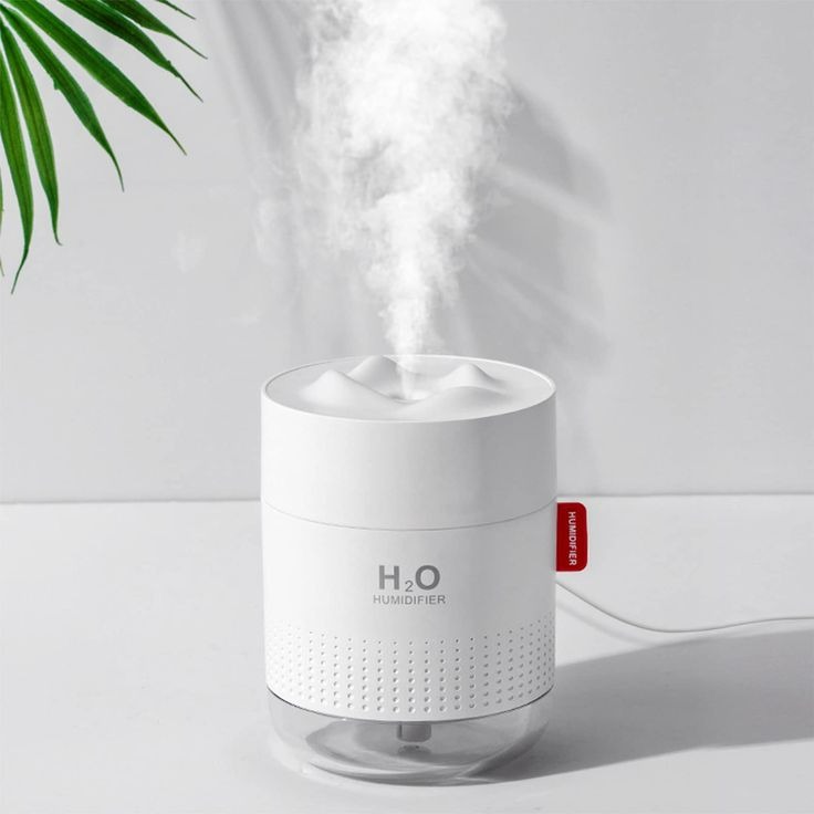 house humidifier